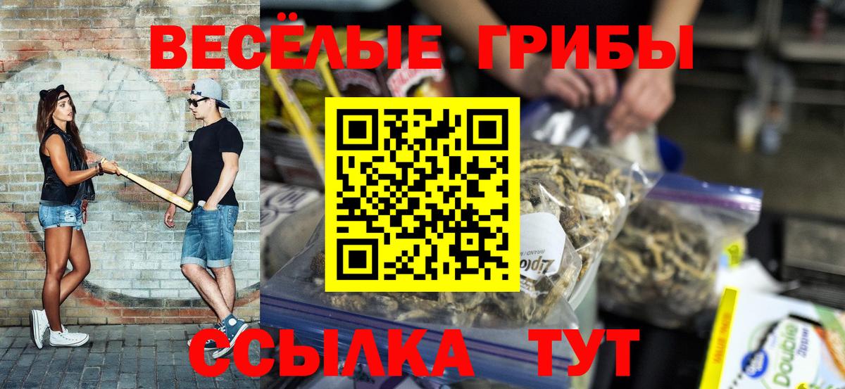 Галлюциногенные грибы мицелий Ростов-на-Дону